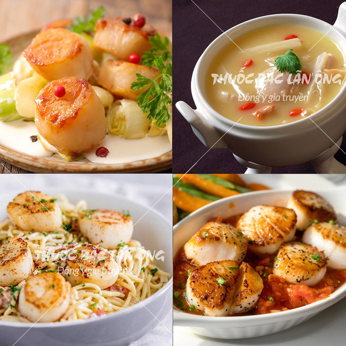Cồi sò điệp khô Phan Thiết 50g (Cồi dày, giòn, thơm ngon bổ dưỡng)