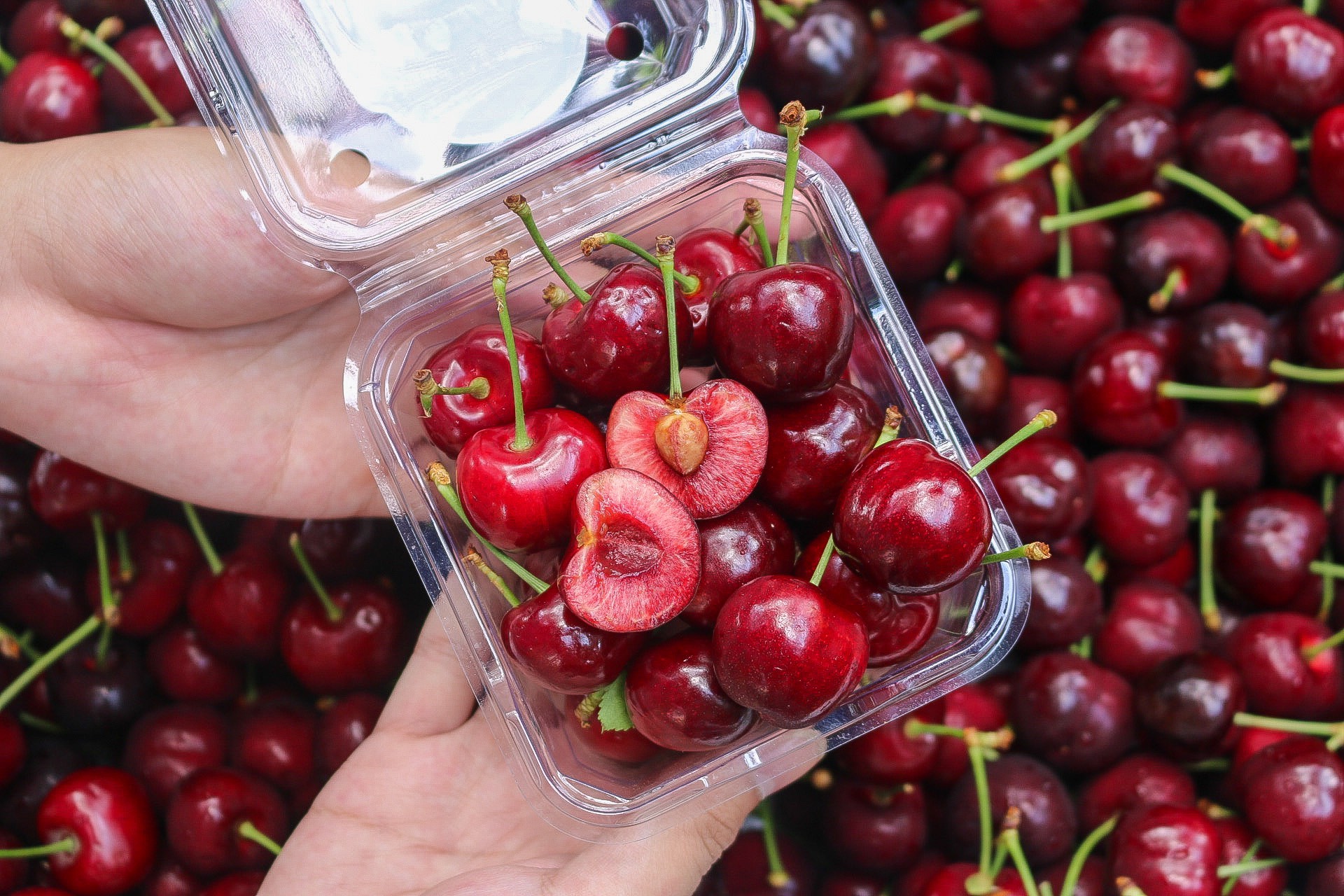 Bơ 034 Béo Thơm - Túi 1kg (3-4 Trái) - Foodmap Fruit