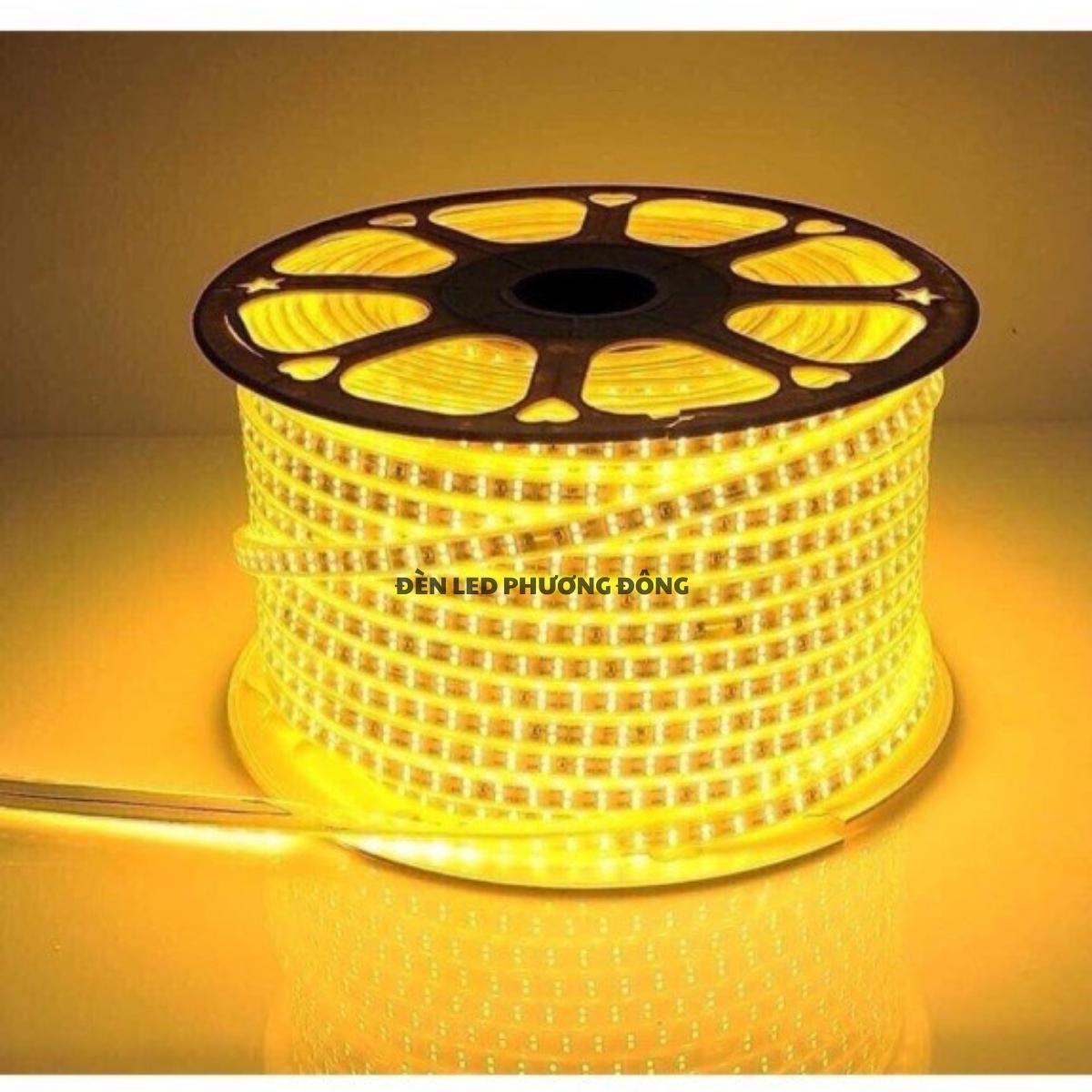 Cuộn 100m LED Dây đôi 2835 - 2 hàng bóng siêu sáng