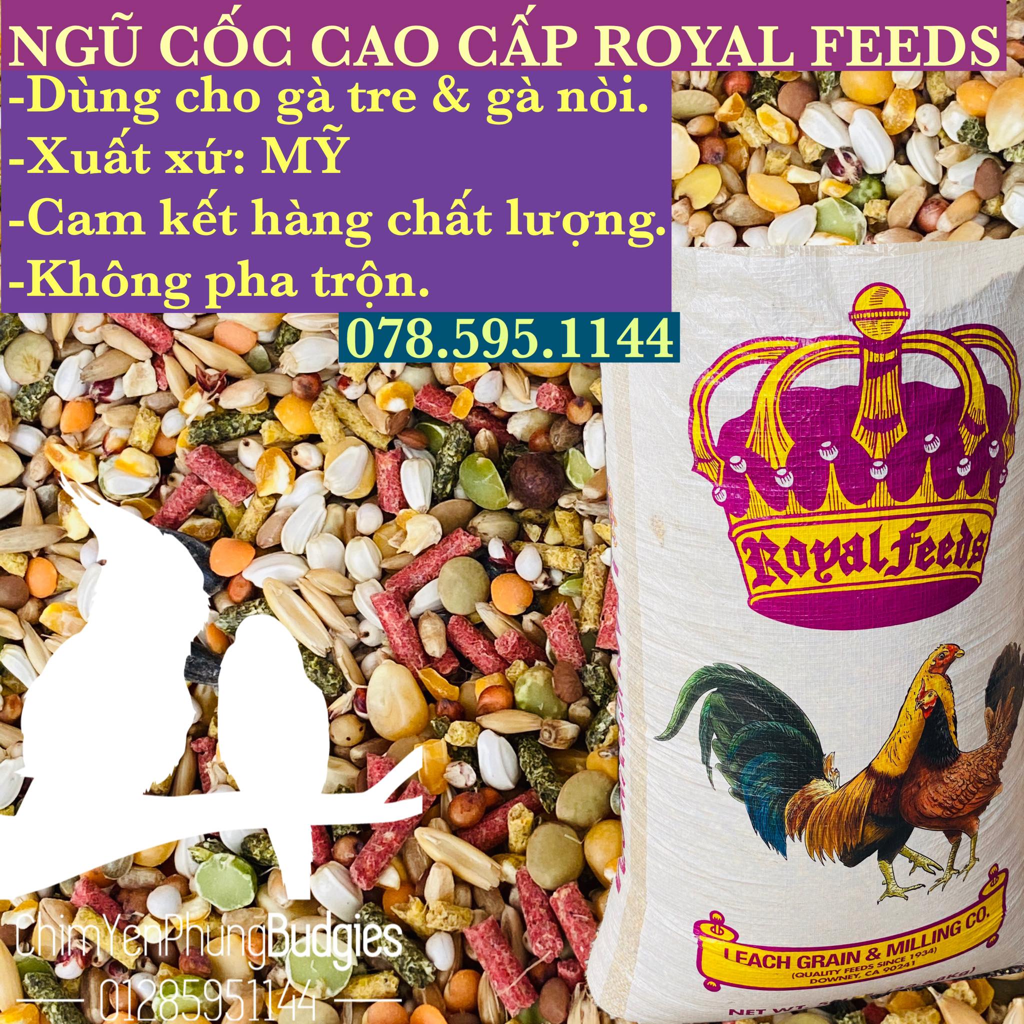 2kg ngũ cốc gà đá Royal Feeds, đảm bảo dinh dưỡng cho gà đá (gà tre, gà nòi, gà kiểng...) chiếc lẻ từ bao 22,8kg