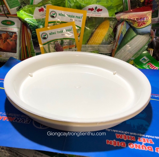 5 ĐĨA LÓT CHẬU CÂY CẢNH PHI 30