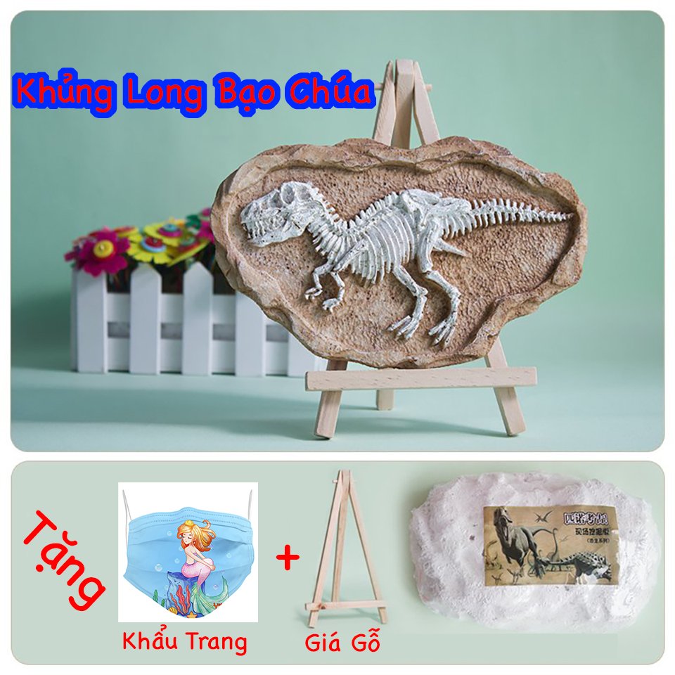 Đào Hóa Thạch Khủng Long Khảo Cổ Học Đi Tìm Xương khủng long. hóa thạch khủng long thời tiền sử. tặng kèm kệ gỗ, bộ dụng cụ.
