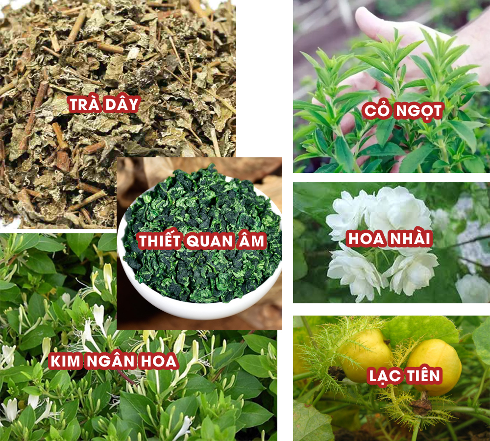 2 trà Hoàng Thảo Mộc gói 500G