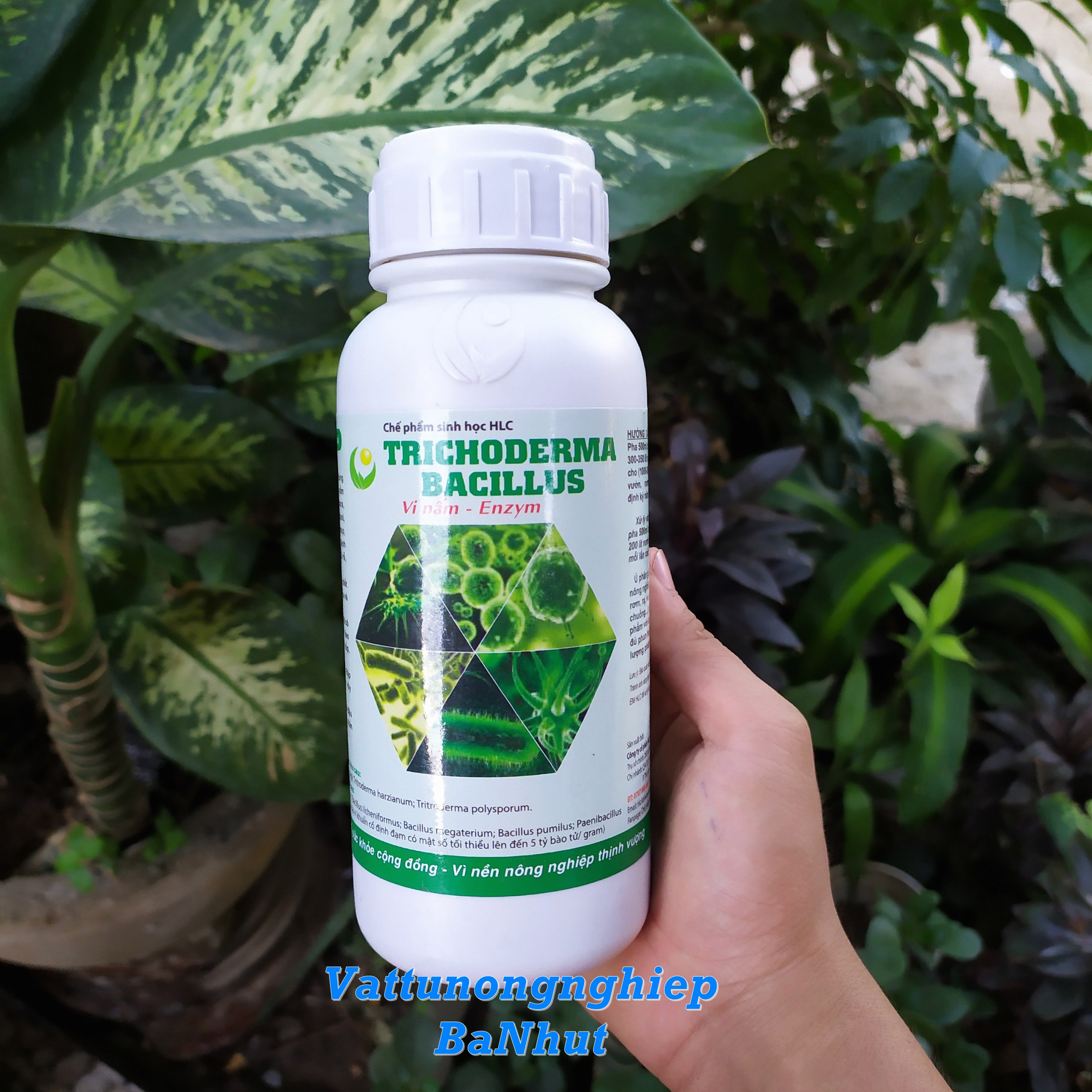 Chế Phẩm Sinh Học TRICHODERMA BACILLUS HLC (Dạng Nước) 500ML - Ủ Phân Chuồng, Tưới Cây, Đối Kháng Nấm Bệnh