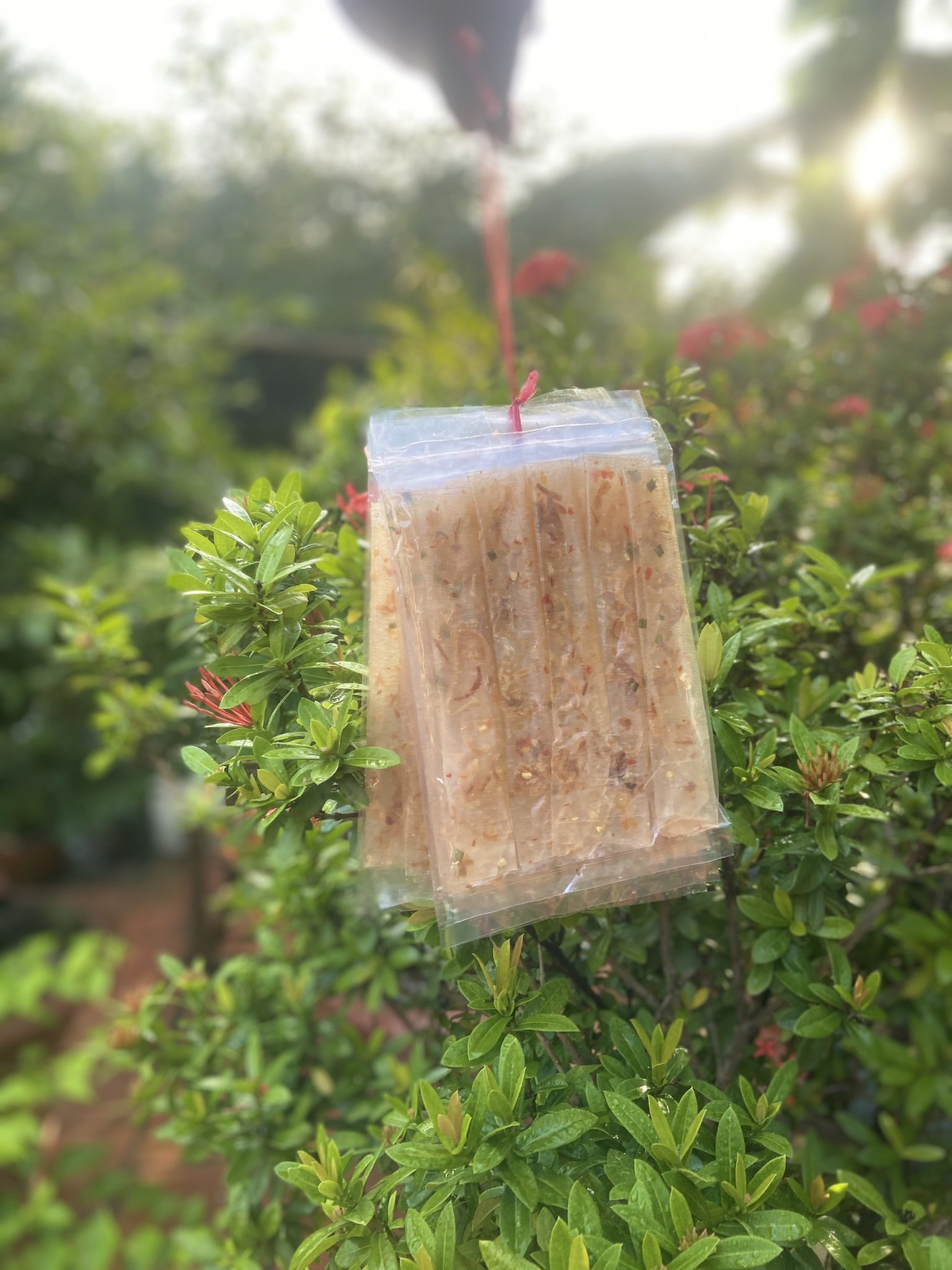 Bánh tráng cuộn hành phi- BÁNH TRÁNG MIMIN