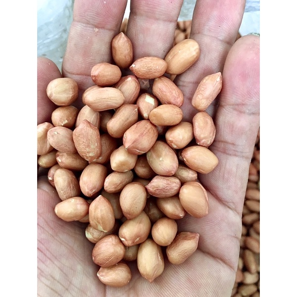 đậu phộng / đỗ phộng / lạc 1kg giá rẻ