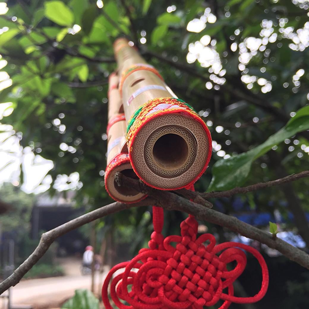 sáo mèo kép việt