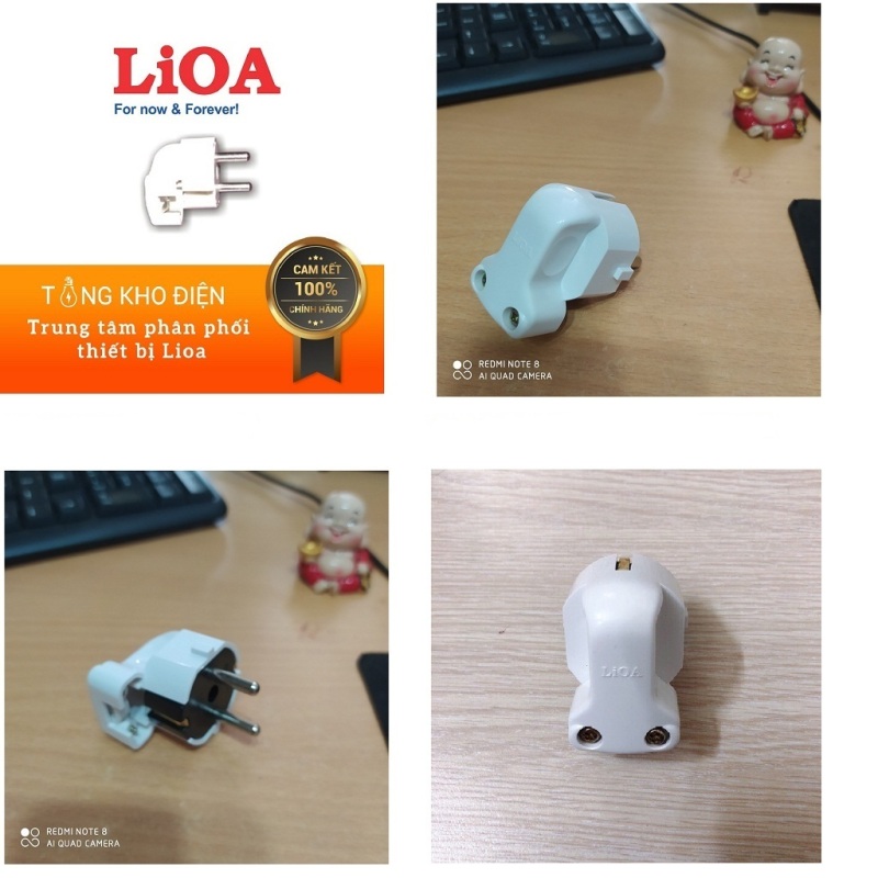 Bảng giá Phích Cắm Tiêu Chuẩn Châu Âu LIOA EURF5