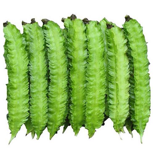 [HCM]Gói 5g hạt giống đậu rồng cao sản