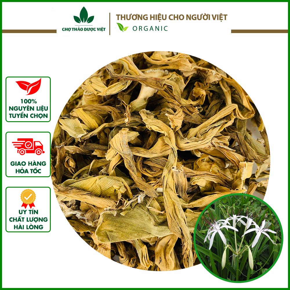 Trinh nữ hoàng cung khô sạch 1kg hỗ trợ u xơ tử cung, u nang buồng trứng
