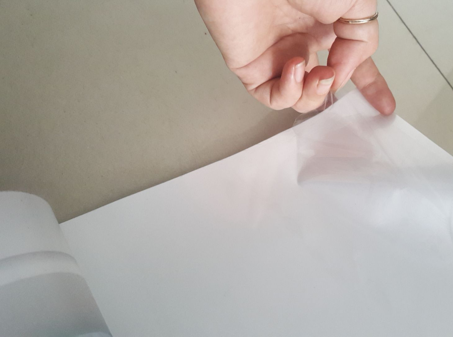 Tranh hoa sen trắng dán tường