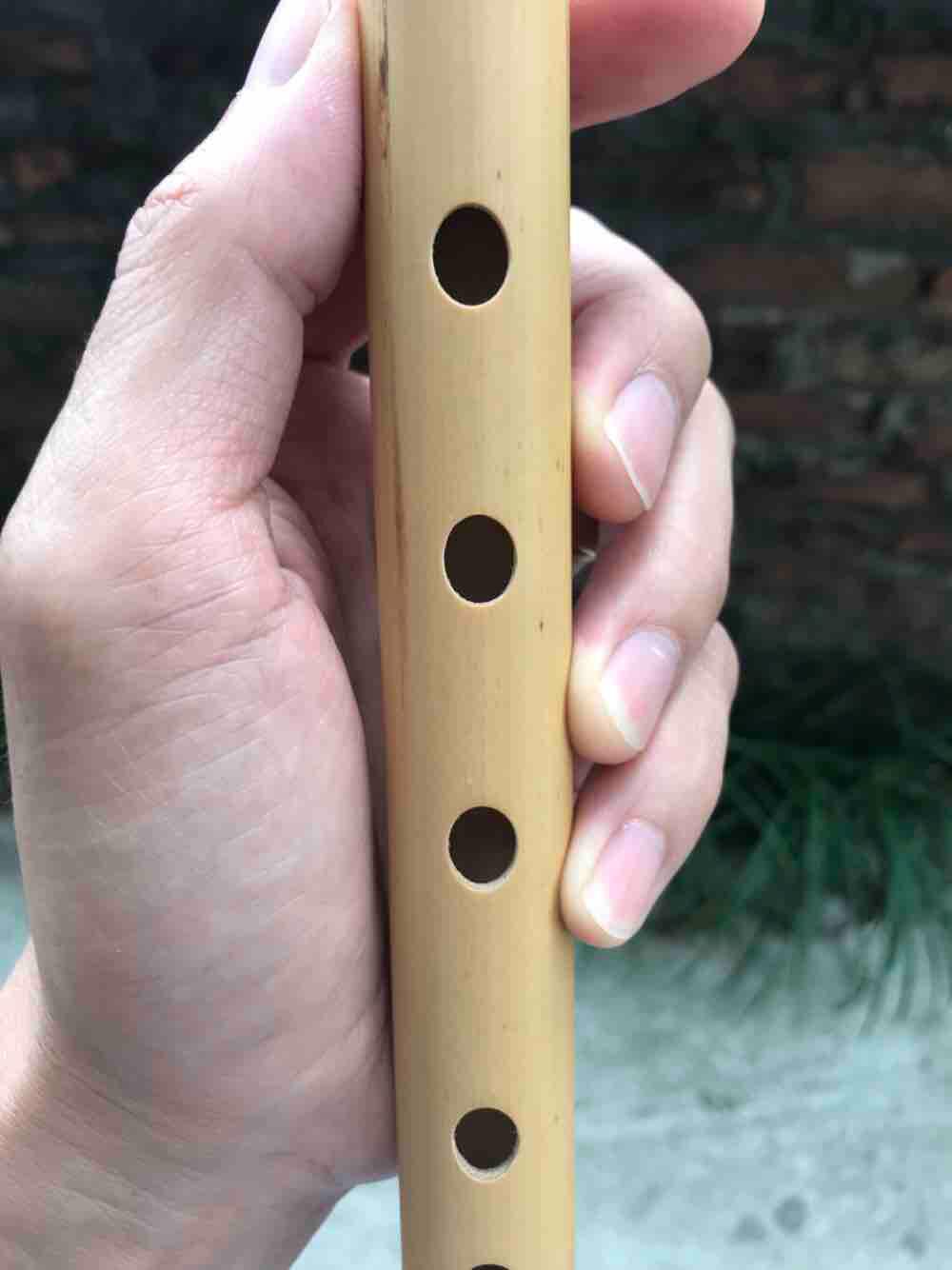 Sáo la trầm (A4)