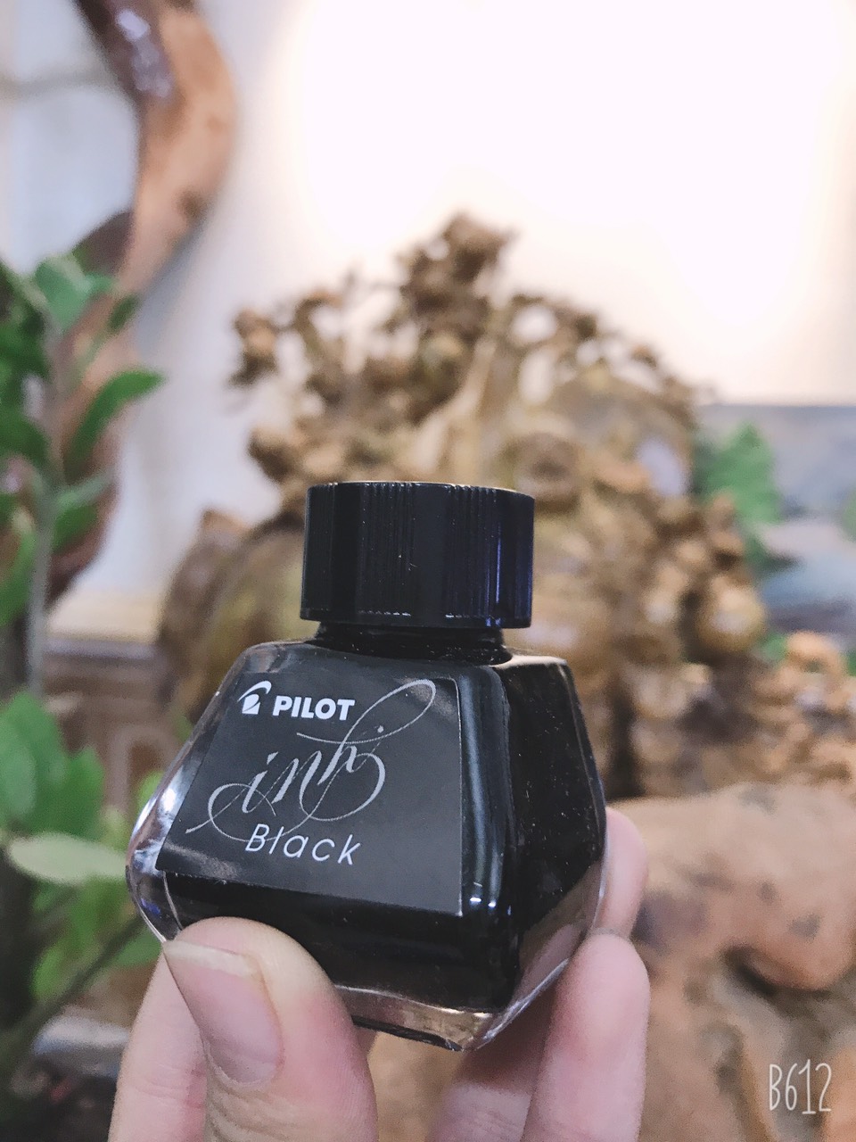 Mực Pilot Ink Nhật Bản, mực bút máy cao cấp 30ml