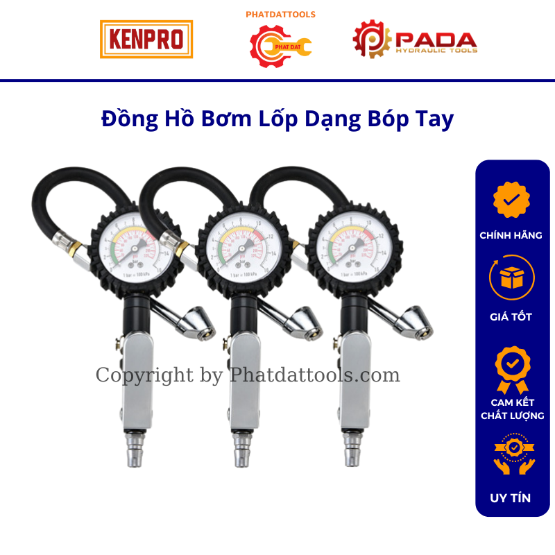 Die-filled tire pressure gauge