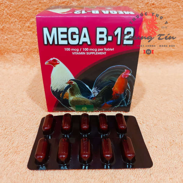 Thuốc gà đá - Mega B12 - nuôi gà cao cấp của philippine , tăng bo , mau lên nước máu , sung gà , thuoc ga
