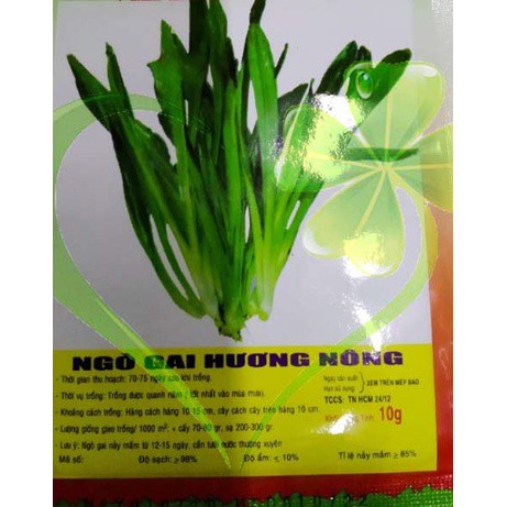 Hạt giống ngò gai - gói 3 gram