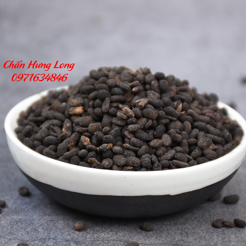 Bổ Cốt Chỉ - Phá Cố Chỉ 100g - đông y chấn hưng long