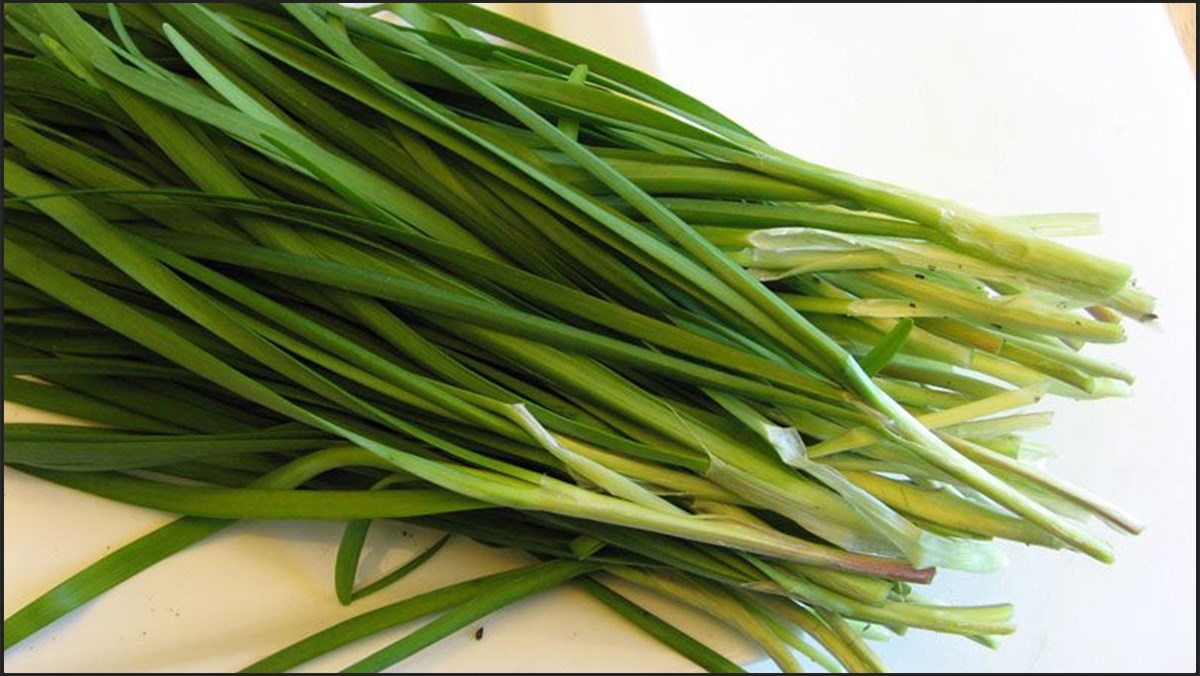 Hạt giống hẹ lá Rạng Đông