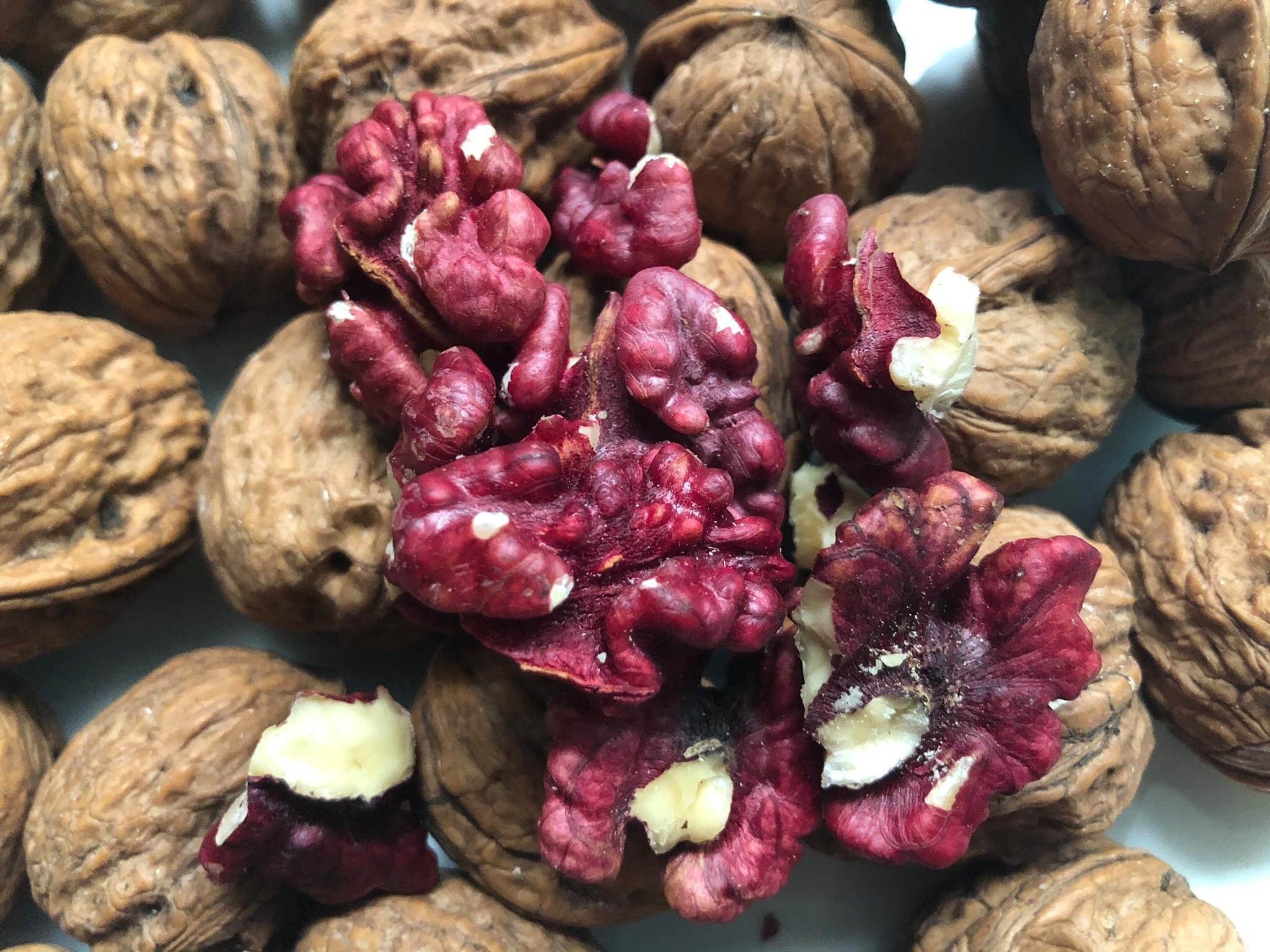 [HCM]ÓC CHÓ NHÂN ĐỎ (đã bóc vỏ) (500gr)