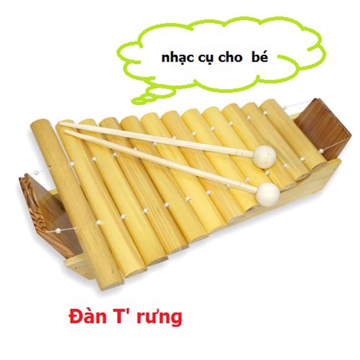 Đàn T 'Rưng