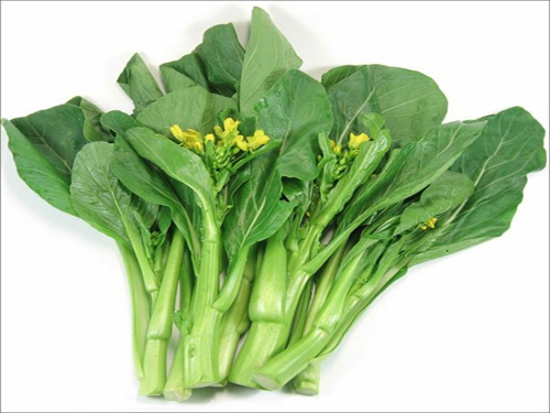Hạt giống Cải Ngọt 20gr (Khoảng 4000 Hạt) (Hàng Loại 1)