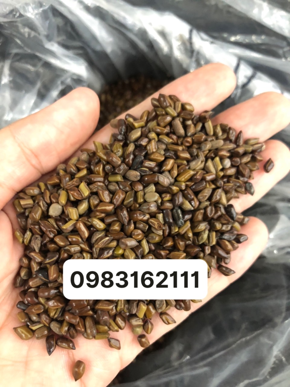 combo đồ chơi xúc cát hạt muồng cho bé