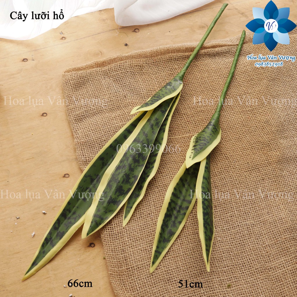 Cây Giả Cây Lưỡi Hổ Cao Su