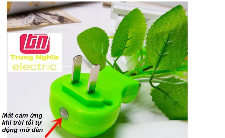 Đèn Ngủ LED Cảm Ứng Hoa Hồng Tự Đổi Màu