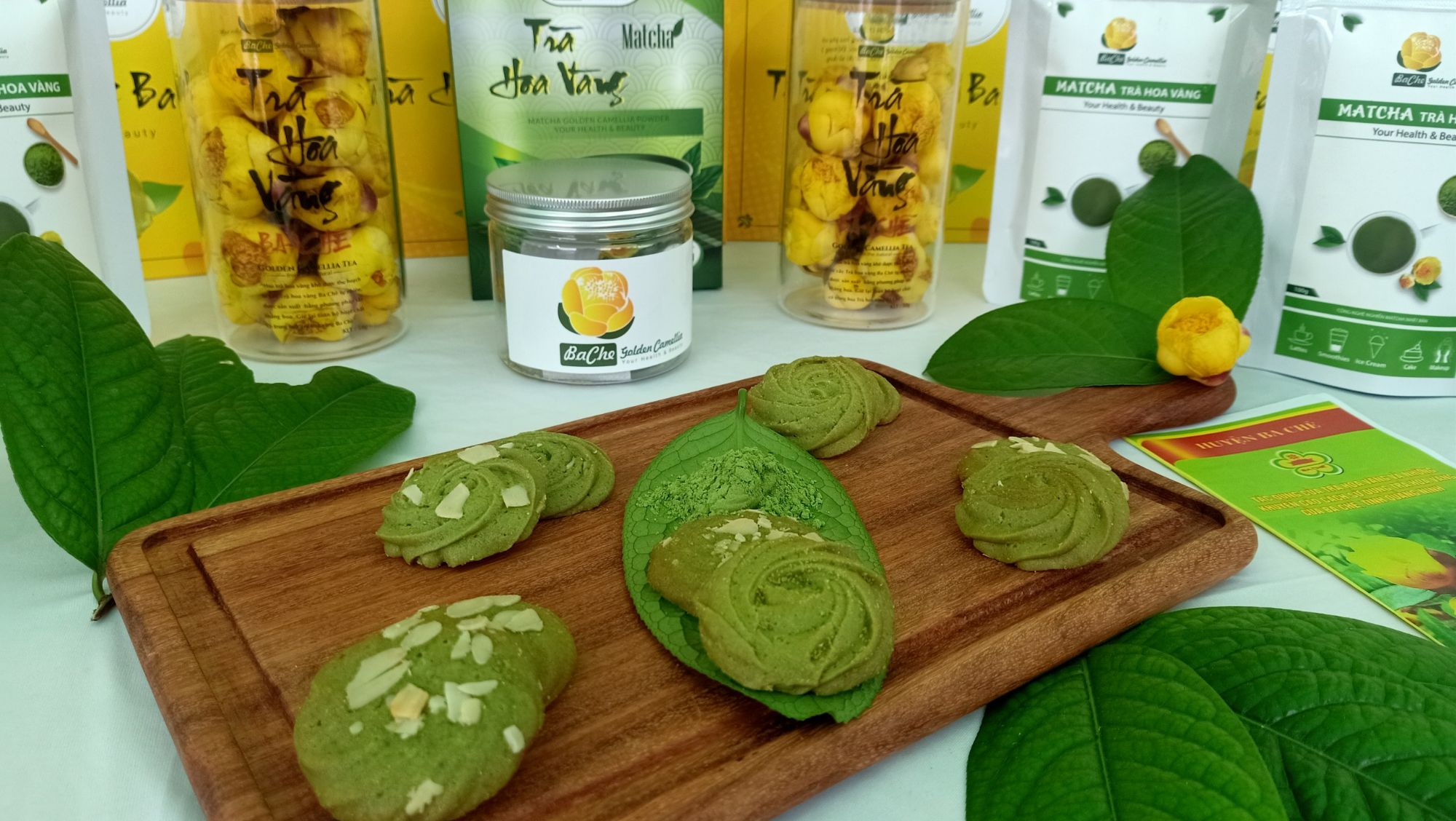 Hoa Trà hoa vàng Ba Chẽ