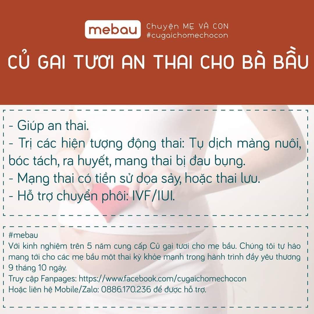 Củ gai tươi (1kg) .