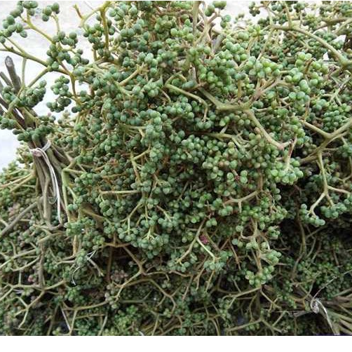 GiáSỉ- Hạt mắc khén Rừng Tây Bắc (100g-500g)