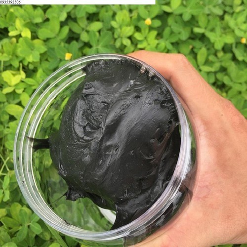 Bộ Sào Bẫy Chim Sẻ