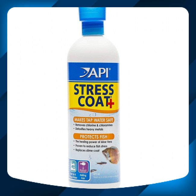 [Hoàn Tiền 10%] MELAFIX/PIMAFIX/STRESSCOAT DÀNH CHO CÁ CẢNH
