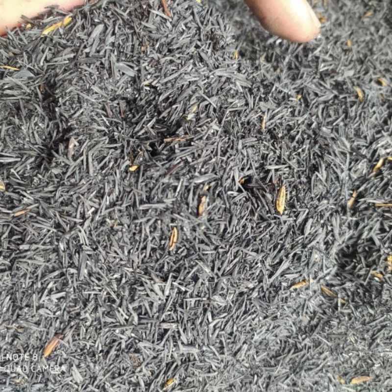 Trấu hun dùng để trồng rau, hoa, cây cảnh