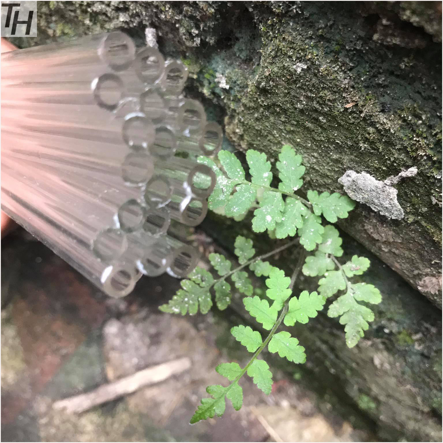 ống thủy tinh trắng dài 40 cm