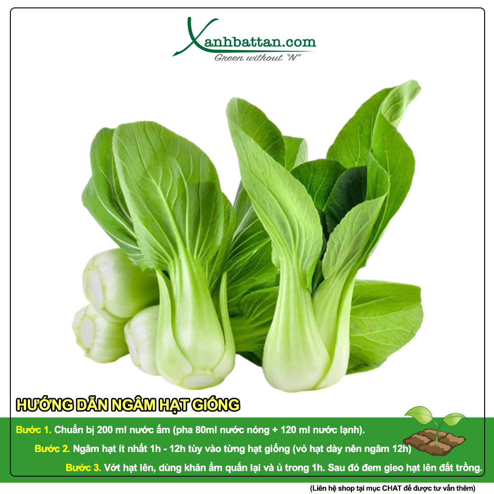 Hạt Giống Cải Thìa Phú Nông Gói 20 Gram