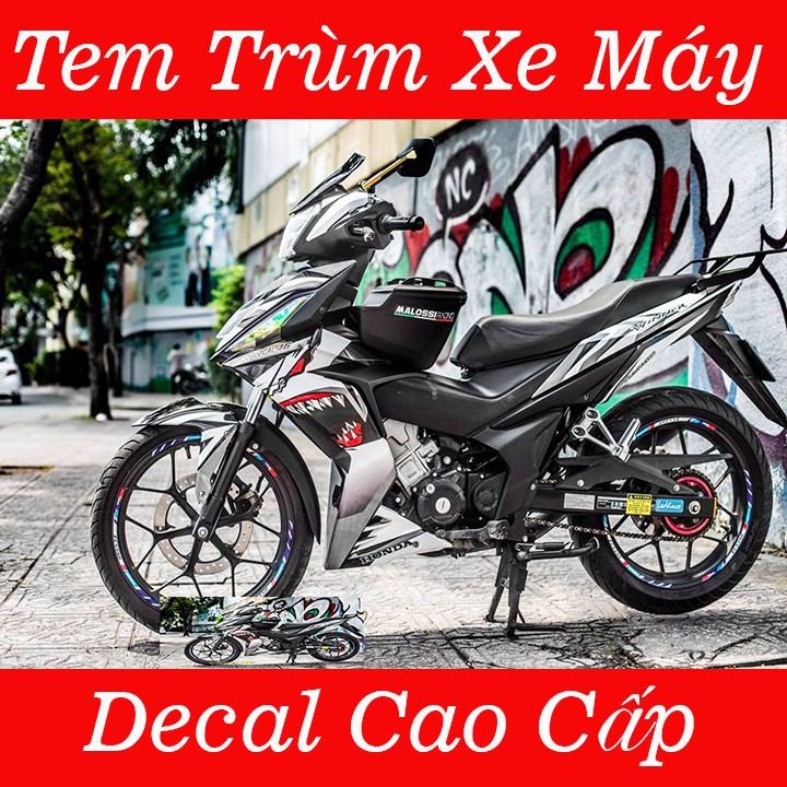 Tem trùm Winner cá mập xám shark - Độ dán team trùm decal xe máy Winner cá mập xám shark - Team trùm decal xe máy Winner rẻ đẹp và chất