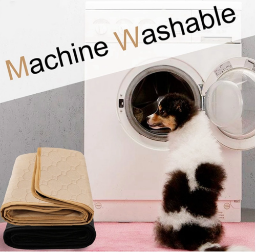 Thảm dạy cún đi vệ sinh DomPad - WorldMart