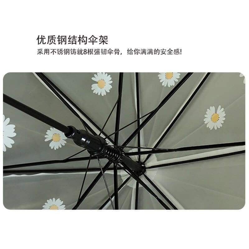 ô trong suốt hoa cúc