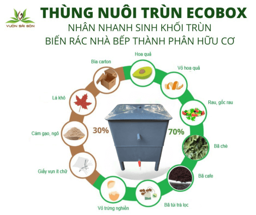 Ecobox decanter (Saigon garden)-please order up to 2 cans each single