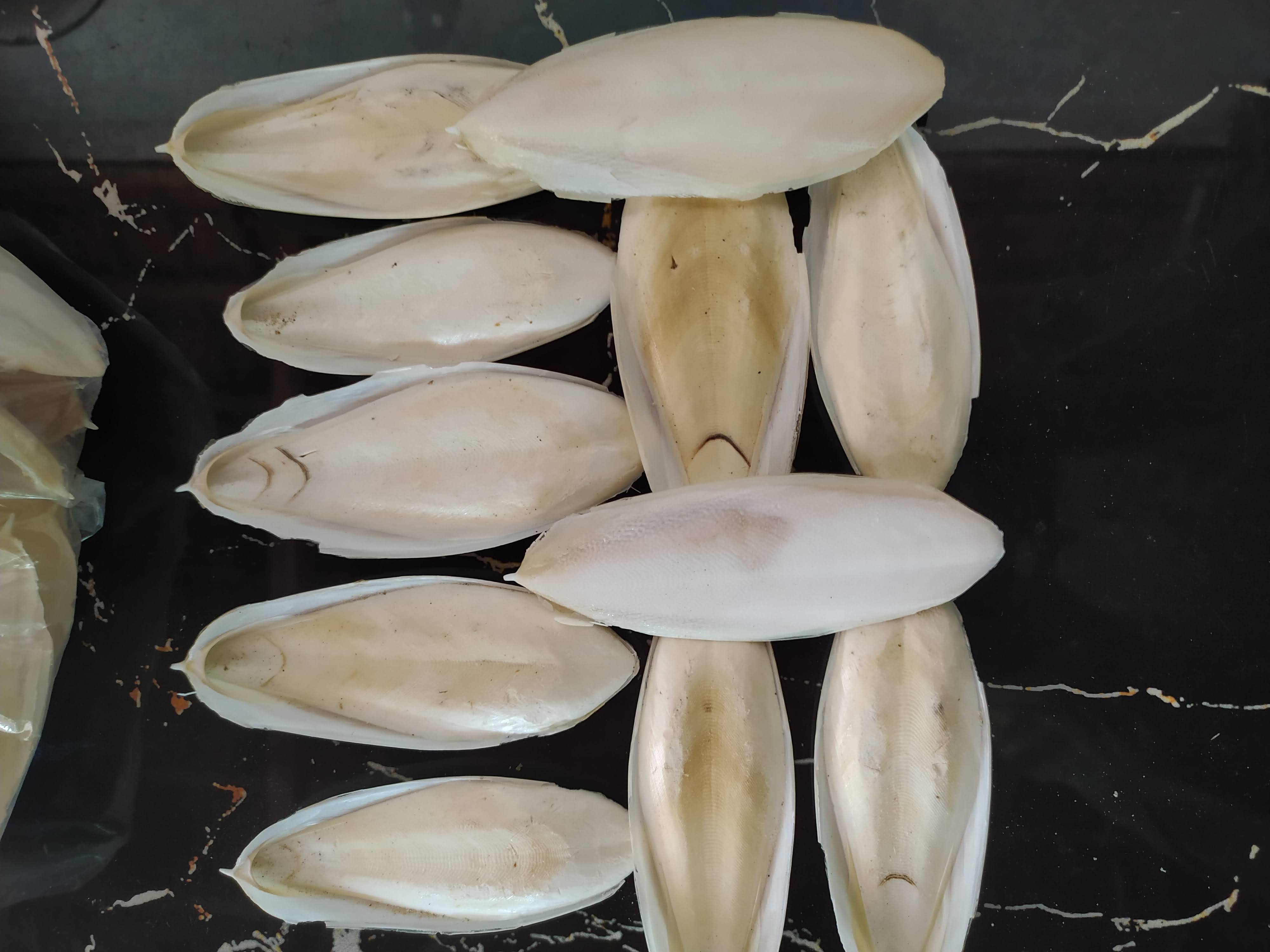 Combo 10 miếng nang mực, mai mực tự nhiên
