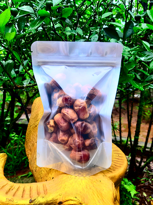 Chà là sấy khô nhập khẩu 100GR