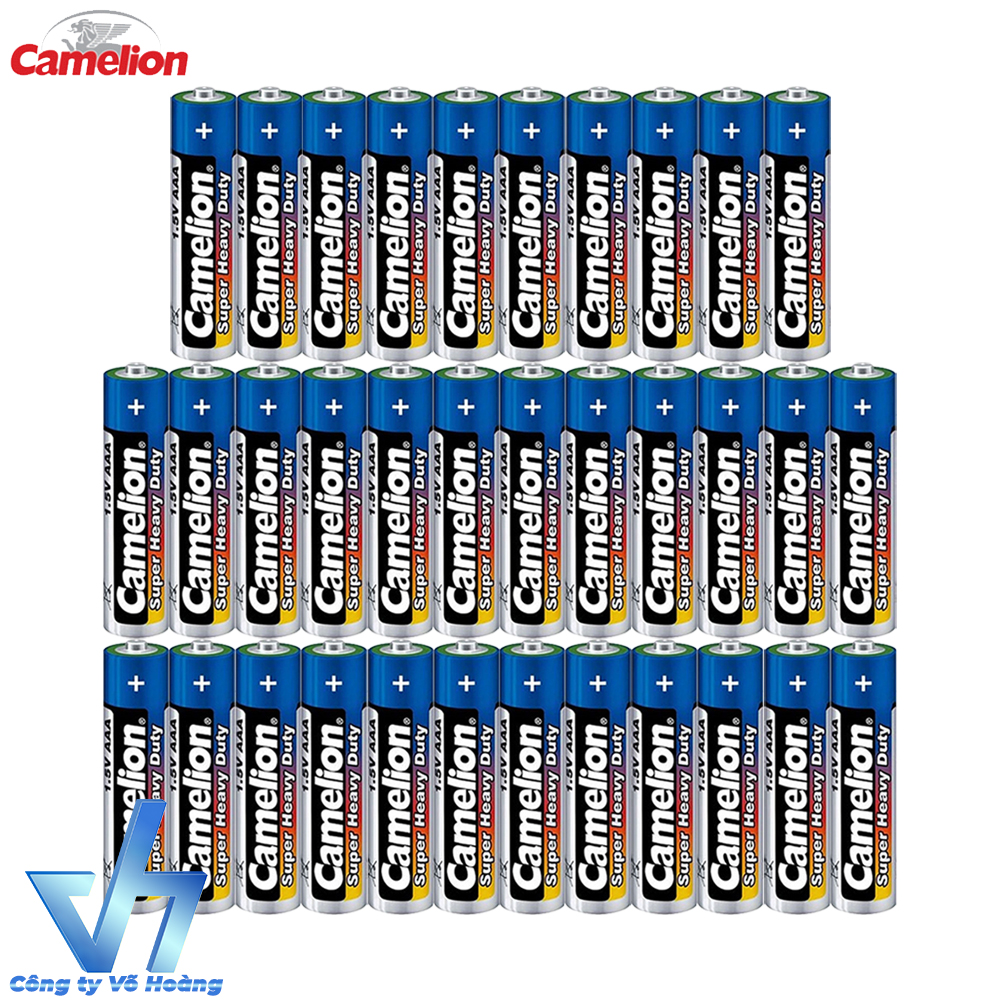 34 pin AAA Camelion R03P