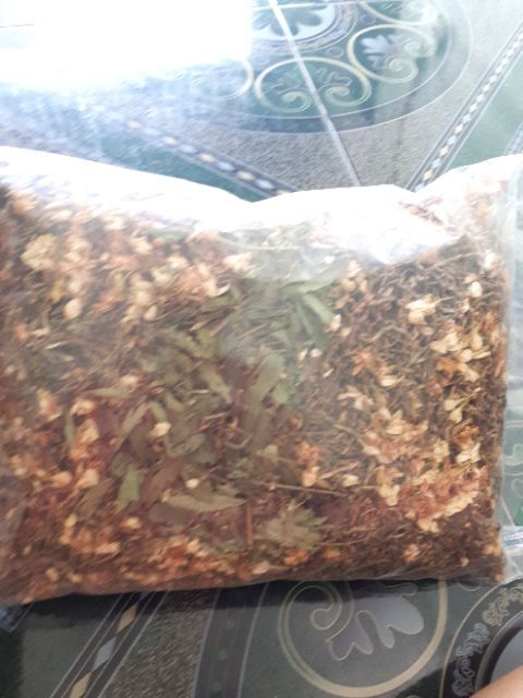 trà hông sâm sơn trà