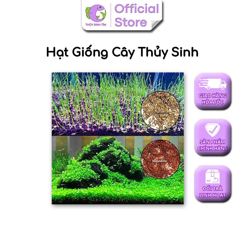 Hạt Giống Cỏ Thủy Sinh & Thanh Điệp (Trân Châu TQ)