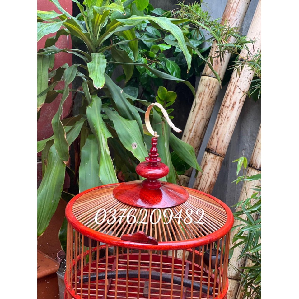 LỒNG CHIM CU GÁY GỖ  ĐẸP BỀN CHẮC ( SIÊU HOT)