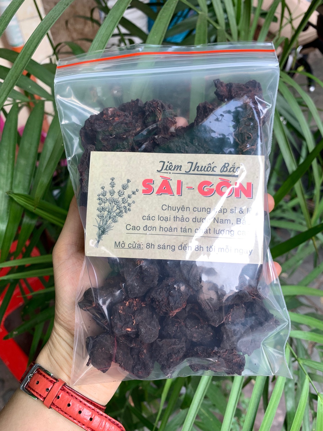 [HCM]Hà Thủ Ô Ông Tiên 100gram