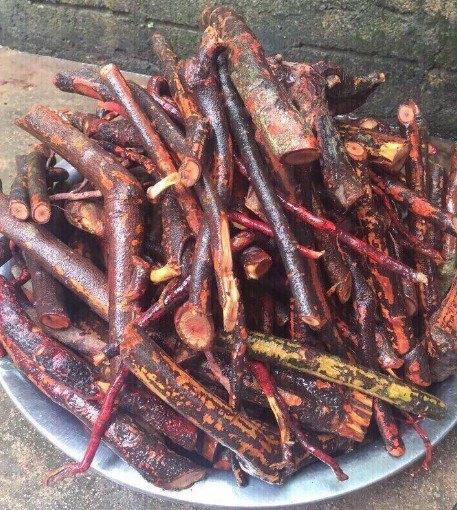 Cây Mú Từn 1kg