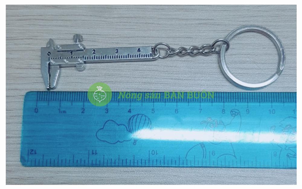 1 Chiếc Thước Kẹp Inox Đo Thân Lan Dài 5Cm Có Móc Treo