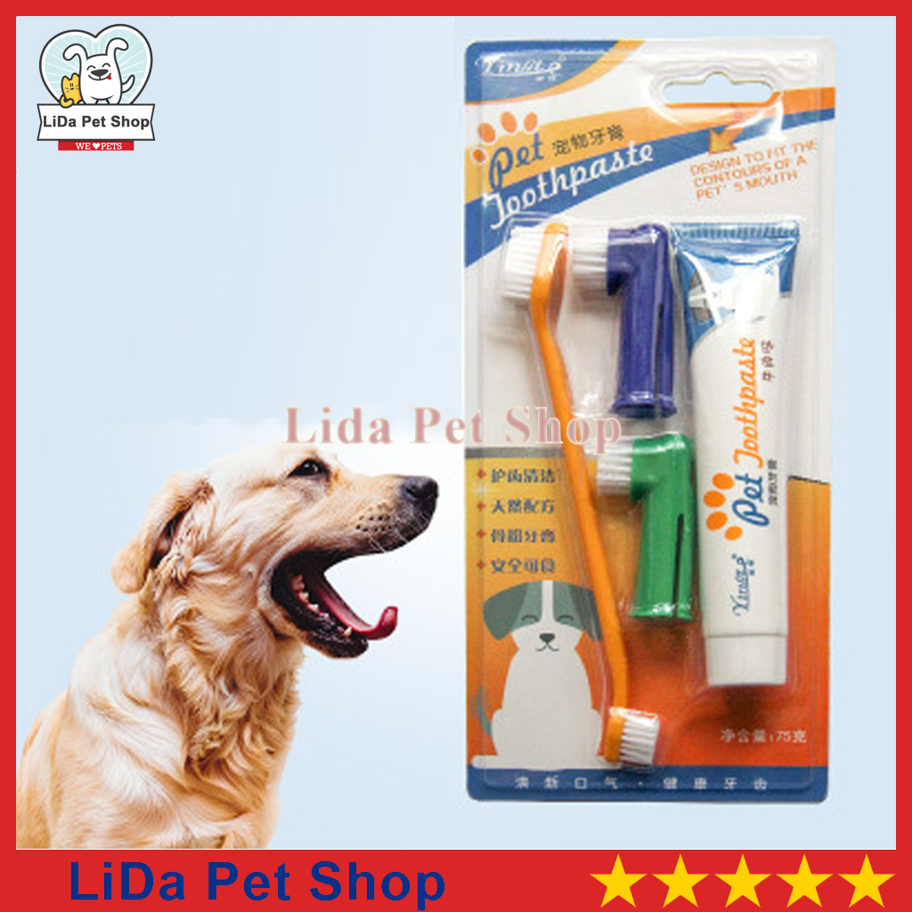 HN- Bộ Bàn Chải Và Kem Đánh Răng Cho Chó Mèo - tuyp 75g - Lida Pet Shop